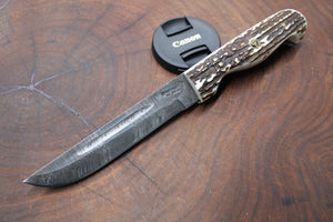 Damascus Stag Horn Steak Knife