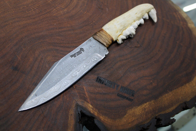 Coyote | Drop-Point Damascus
