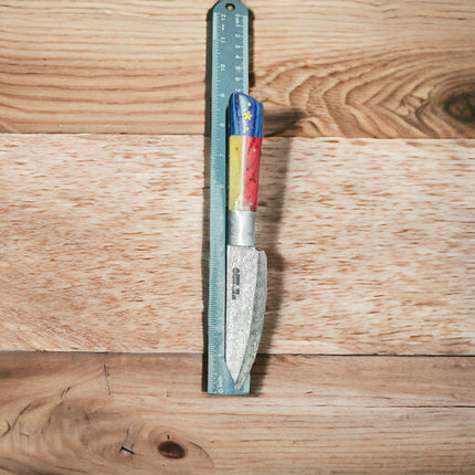 Texas Damascus Clip-point Steak Knife