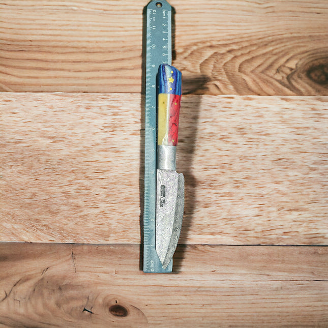 Texas Damascus Clip-point Steak Knife