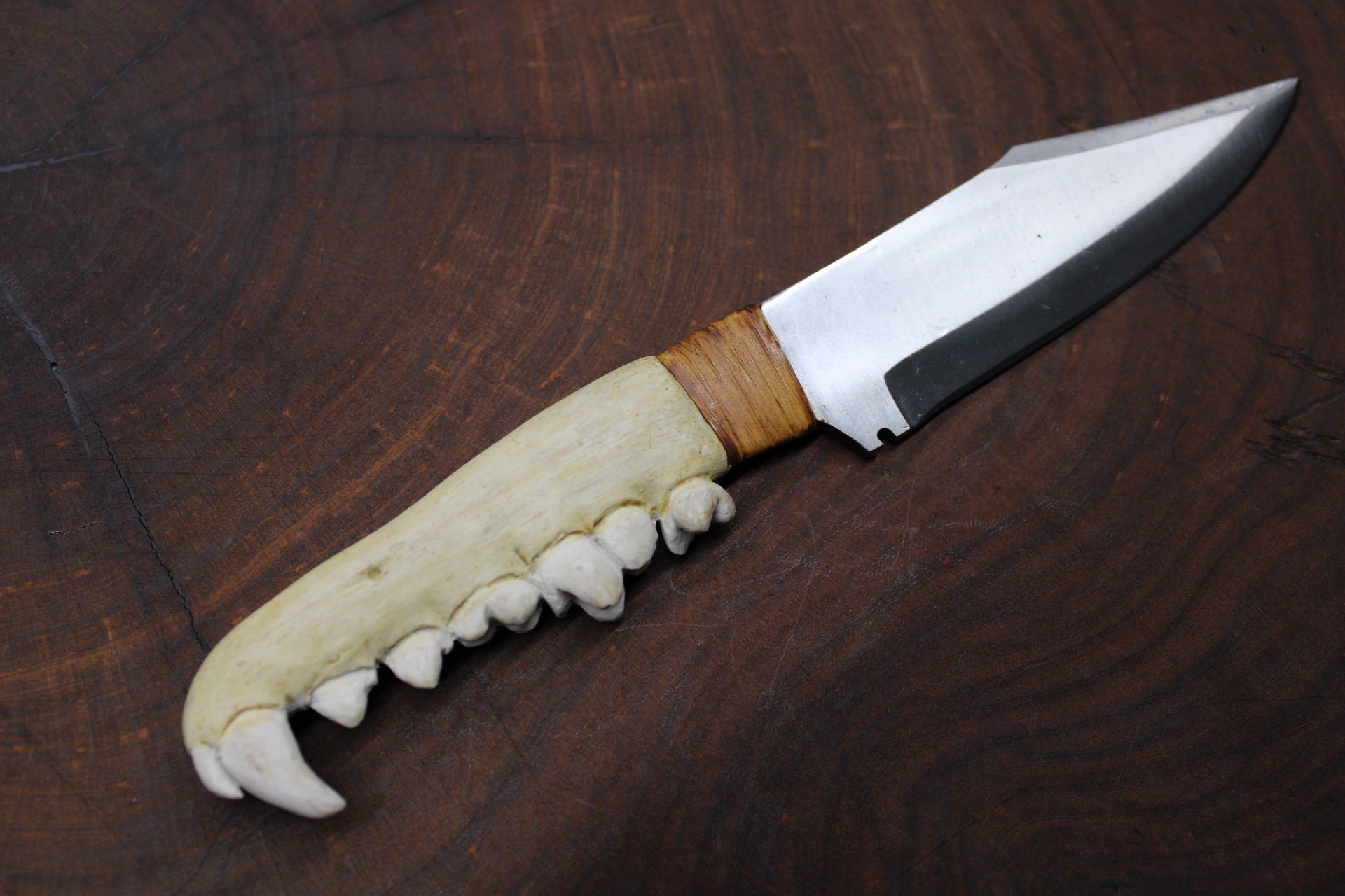 D2 Coyote Jaw Knife d2-coyote-jaw-knife