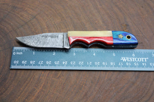 Damascus Texas Clip point Small Fixed Blade