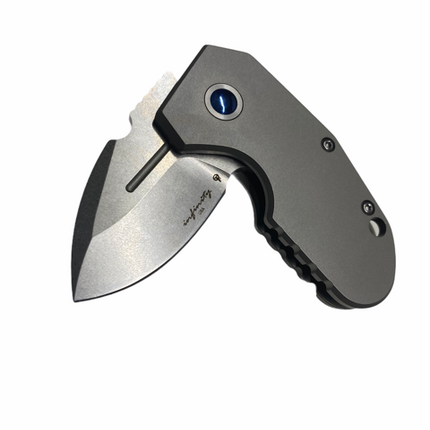 Titanium DP1