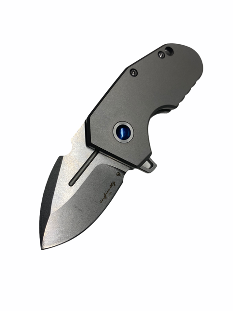 Titanium DP1