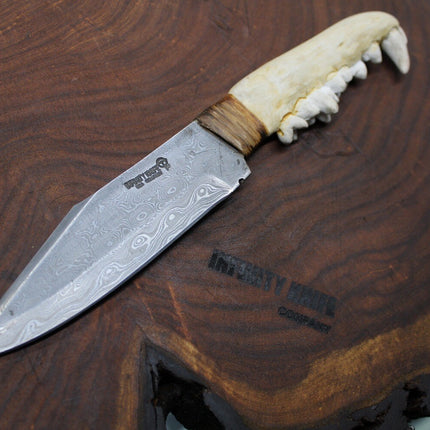 Coyote | Drop-Point Damascus